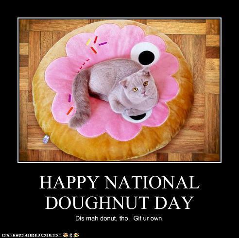 Happy National Doughnut Day 2016 Cat Sitting On Doughnut Shaped Couch Picture