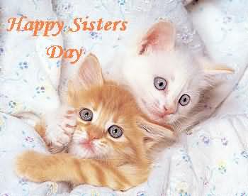 Happy Sister's Day Cute Kittens Picture