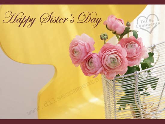 Happy Sister's Day Lovely Pink Roses For You