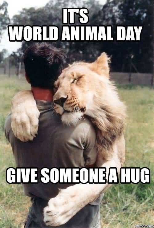 It's World Animal Day Give Someone A Hug