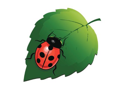 Ladybug On Green Leaf Tattoo Design