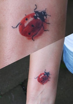 Ladybug Tattoo On Left Forearm