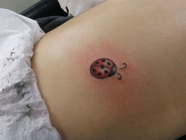 Ladybug Tattoo On Stomach For Girls