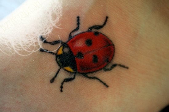 Ladybug Tattoo With Yellow Eyes