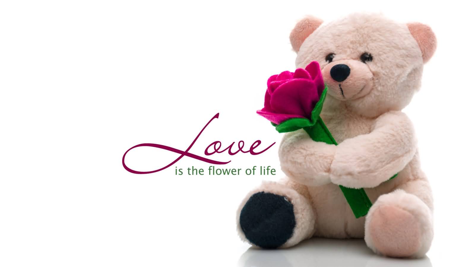 Love Is The Flower Of Life Happy Teddy Bear Day