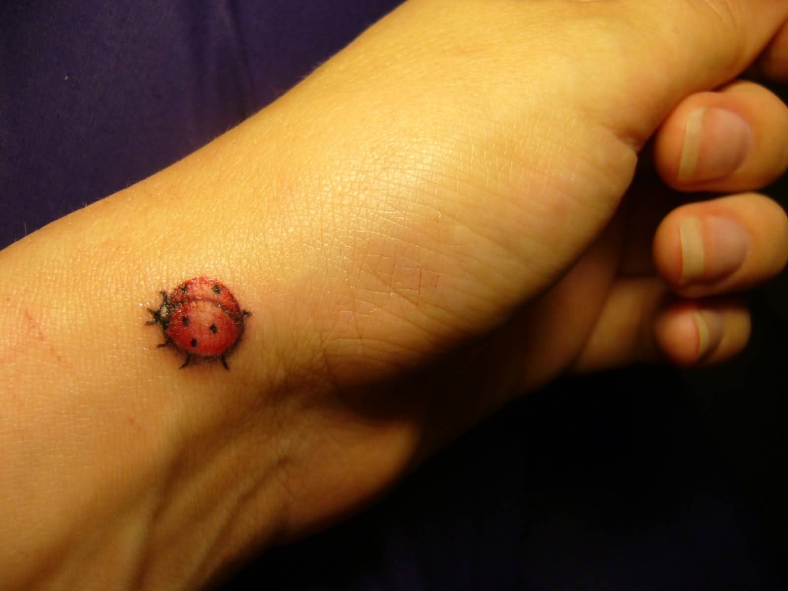 Lovely Red Ladybug Tattoo On Left Wrist