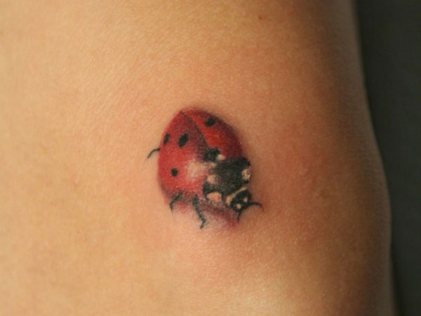 Lovely Red Ladybug Tattoo