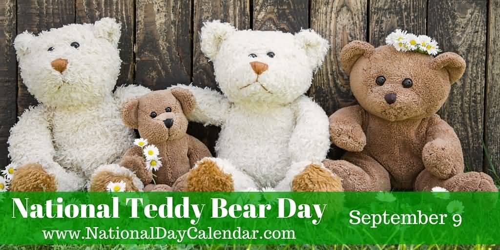 National Teddy Bear Day September 9