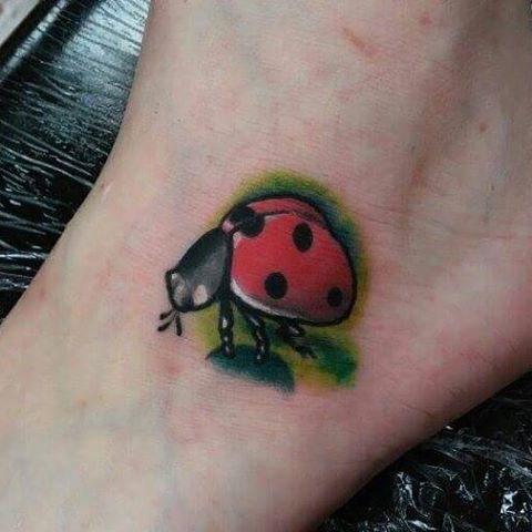 Nice Color Ink Ladybug Tattoo On Left Foot