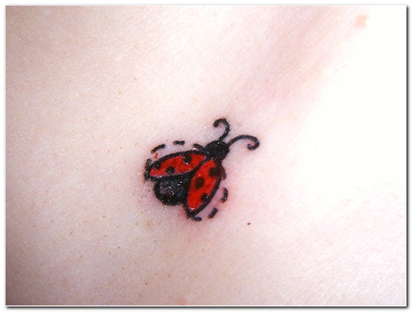 Nice Ladybug Tattoo