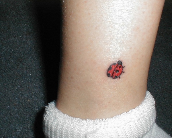 Nice Red Ladybug Tattoo On Leg