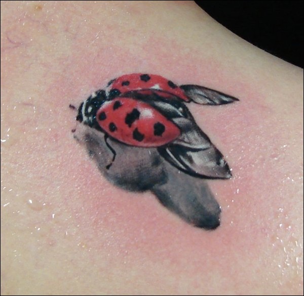 Open Wings Ladybug Tattoo Image