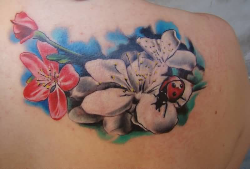 Red And White Flowers With Ladybug Tattoo On Right Back Shoulder