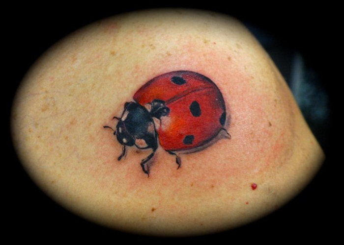Red Ink Ladybug Tattoo Image