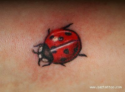 Red Ink Ladybug Tattoo Picture