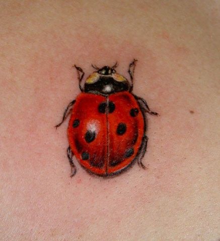 Red Ink Ladybug Tattoo Sample