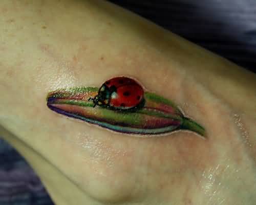 Red Ladybug On Leaf Tattoo On Ankle
