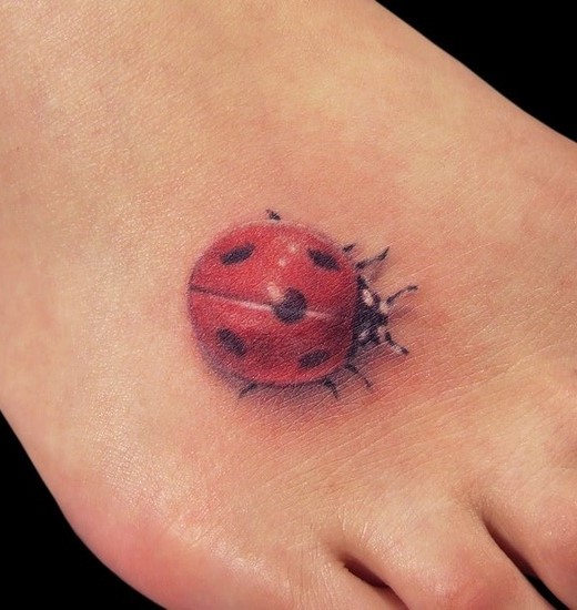 Right Foot Ladybug Tattoo Image