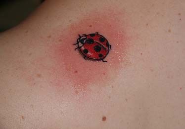 Simple Ladybug Tattoo