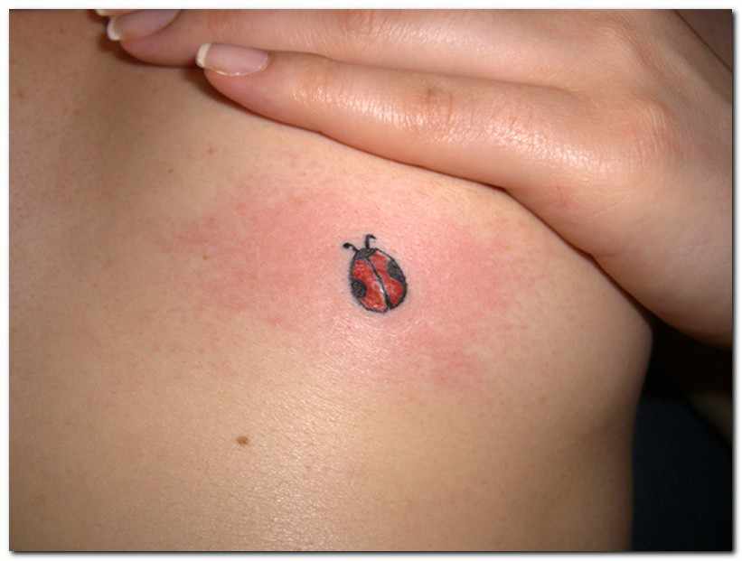 Small Ladybug Tattoo For Girls