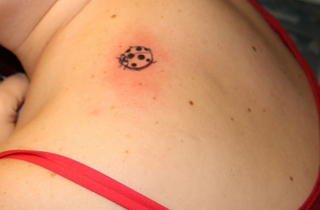 Small Ladybug Tattoo On Girl Upper Back