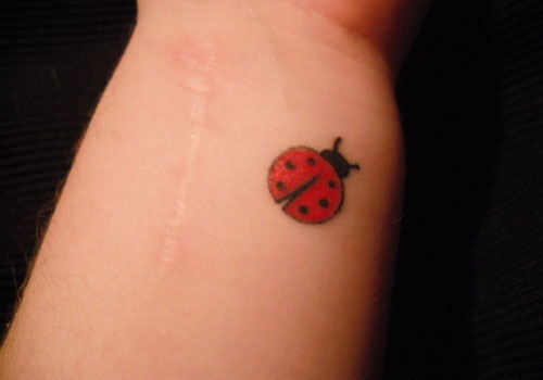 Small Ladybug Tattoo On Left Wrist