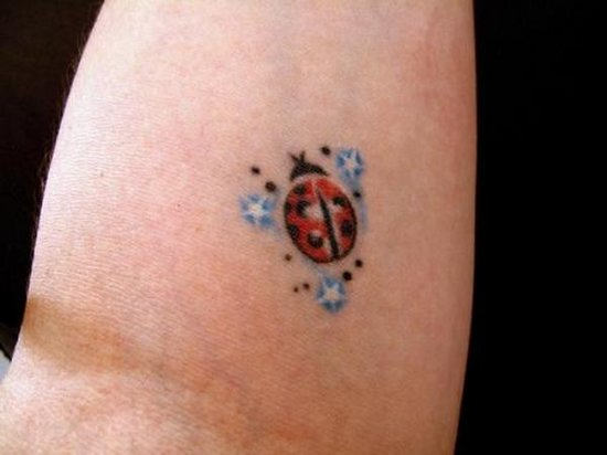 Stars And Ladybug Tattoo On Left Forearm