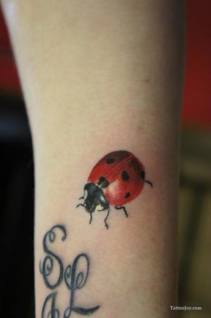 Sweet Ladybug Tattoo On Arm