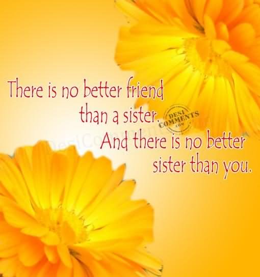 There Is No Better Friend Than A Sister And There Is No Better Sister Than You Happy Sister's Day