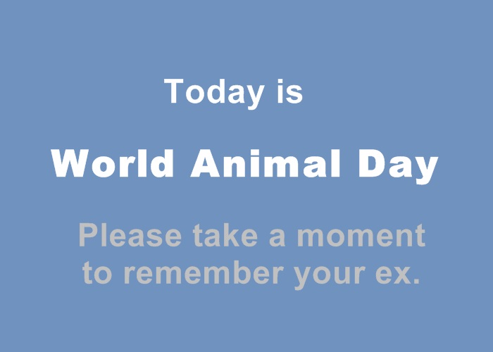 Today Is World Animal Day Please Take A Moment To Remember Your Ex Funny Image
