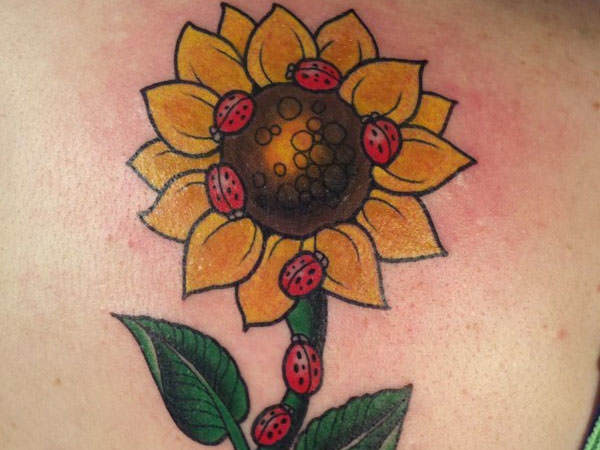 Yellow Sun Flower And Small Ladybug Tattoos