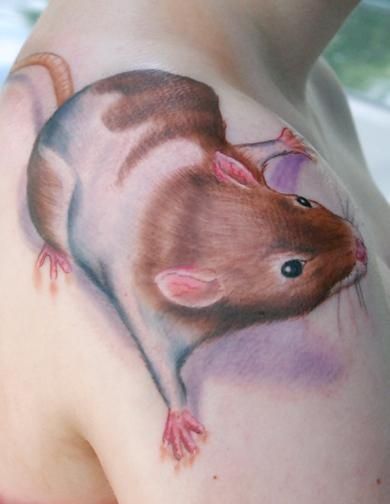 Beautiful Hamster Tattoo On Man Right Shoulder