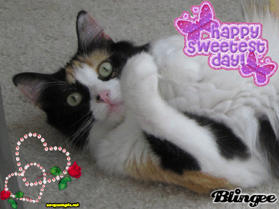 Cat Wishing You Happy Sweetest Day 2016 Glitter