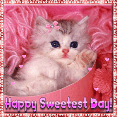 Cute Kitten Wishes Happy Sweetest Day To The Sweetest Person Animated Picture
