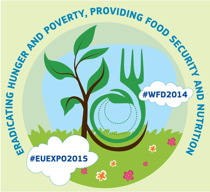 Eradicating Hunger And Poverty, Providing Food Security And Nutrition World Food Day
