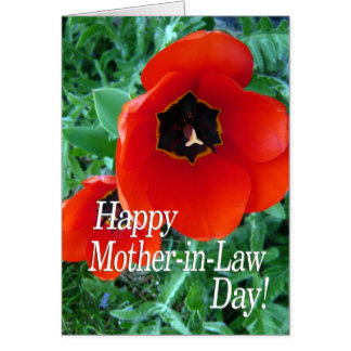 Happy Mother-In-Law Day Poppy Flowers On Greeting Card
