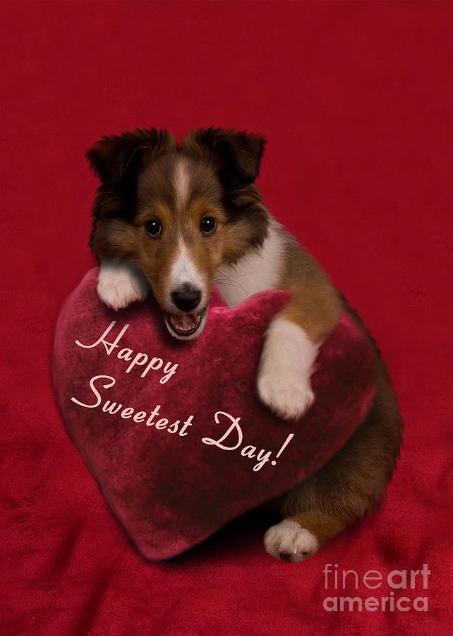Happy Sweetest Day Dog With Heart Picture