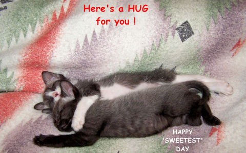 Here's A Hug For You Happy Sweetest Day Loving Cats Picture