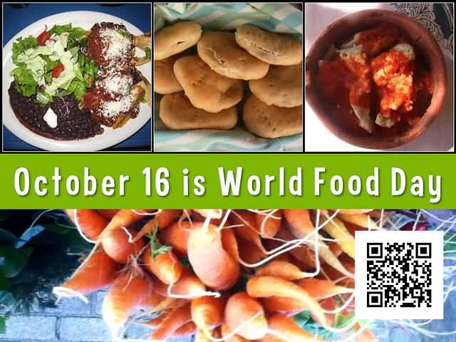 October 16 Is World Food Day