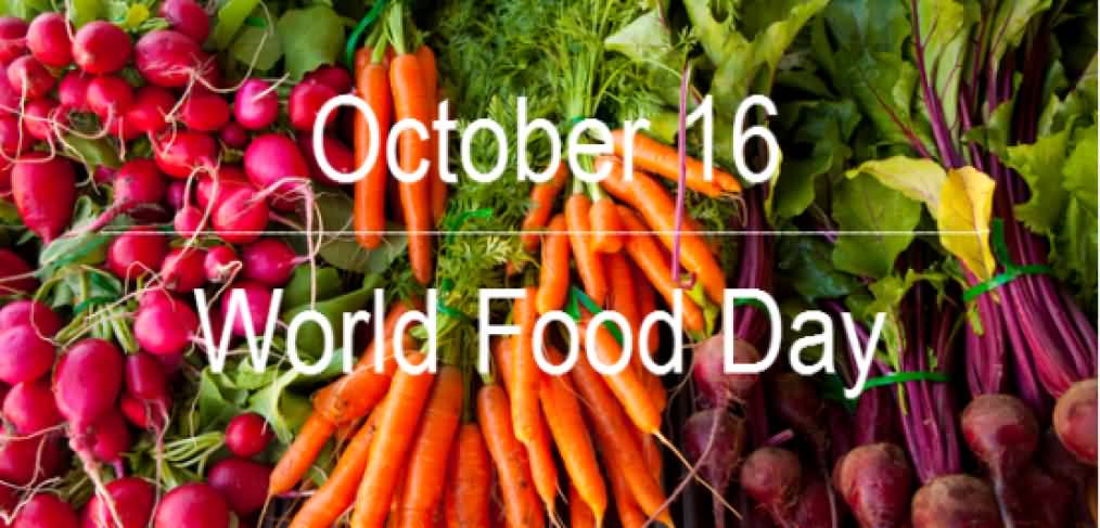 October 16 World Food Day Wishes