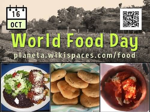 World Food Day 16 Oct, 2016