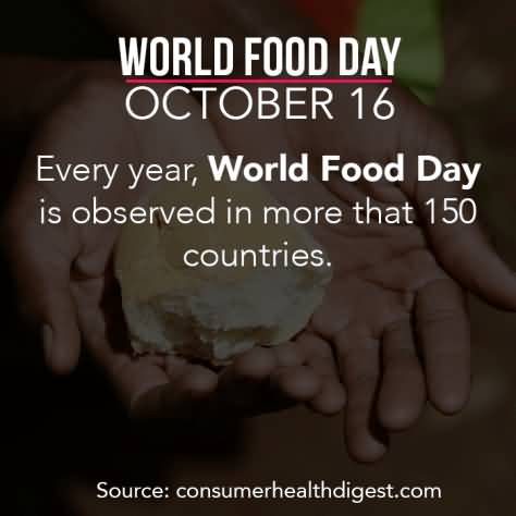 World Food Day October 16, Every Year, World Food Day Is Observed In More That 150 Countries