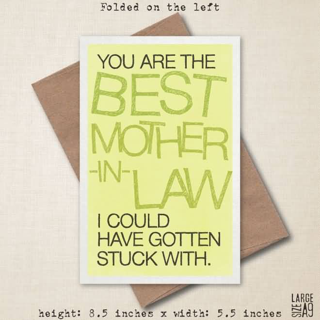 You Are The Best Mother-In-Law I Could Have Gotten Stuck With Happy Mother-In-Law Day Greeting Card