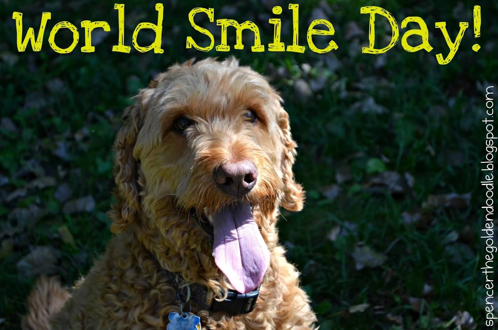 World Smile Day Dog Picture