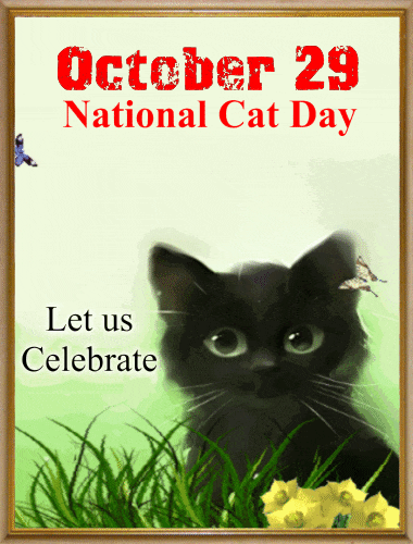 October 29 National Cat Day Lets Us Celebrate Butterflies Flying Animated Picture