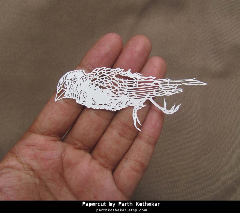 A Bird Papercut By Parth Kothekar