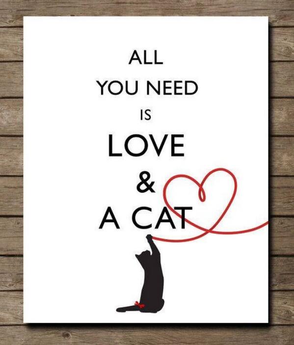 All You Need Is Love & A Cat Happy National Cat Day Poster