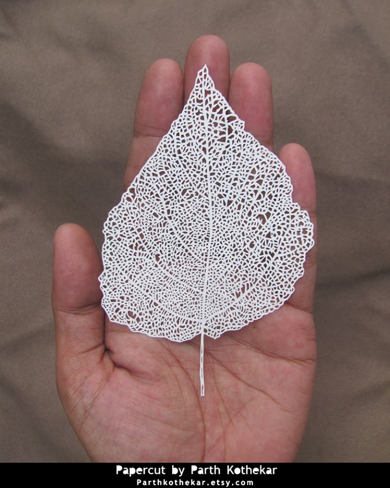 Amazing Natural Leave Papercut By Parth Kothekar