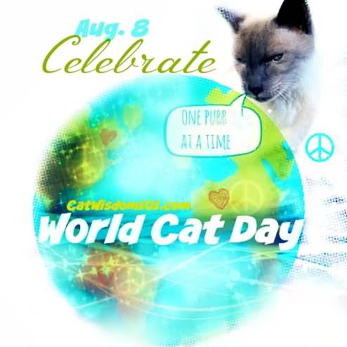 August 8 Celebrate World Cat Day