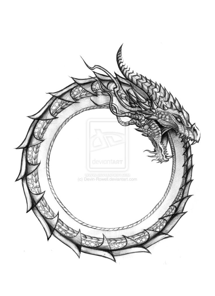 Black And Grey Ouroboros Tattoo Design by Devin Rowell